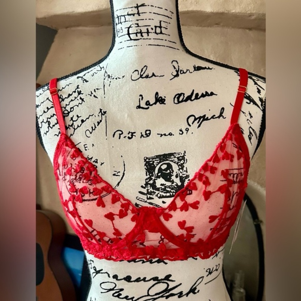 Bed of Roses Heart Print Bra Set